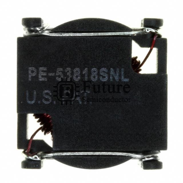 PE-53818SNL Image